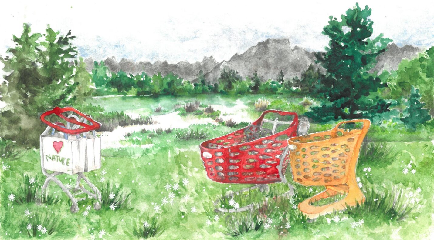 Rabtrolley shopping trolleys